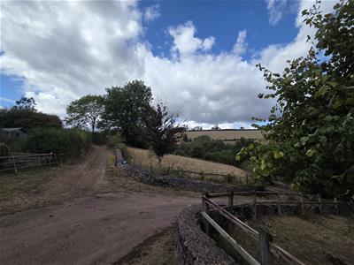 Picture 31